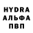 АМФЕТАМИН VHQ chinchilla505