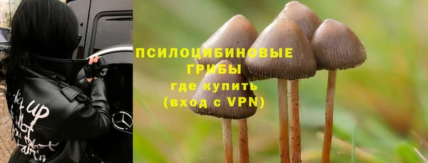 ешки Балахна